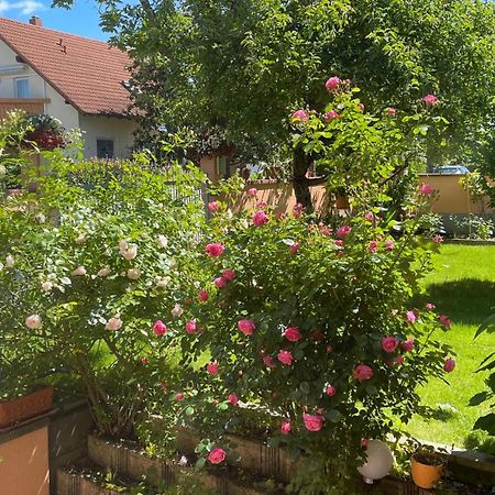 Ferienwohnung Am Eck روست المظهر الخارجي الصورة