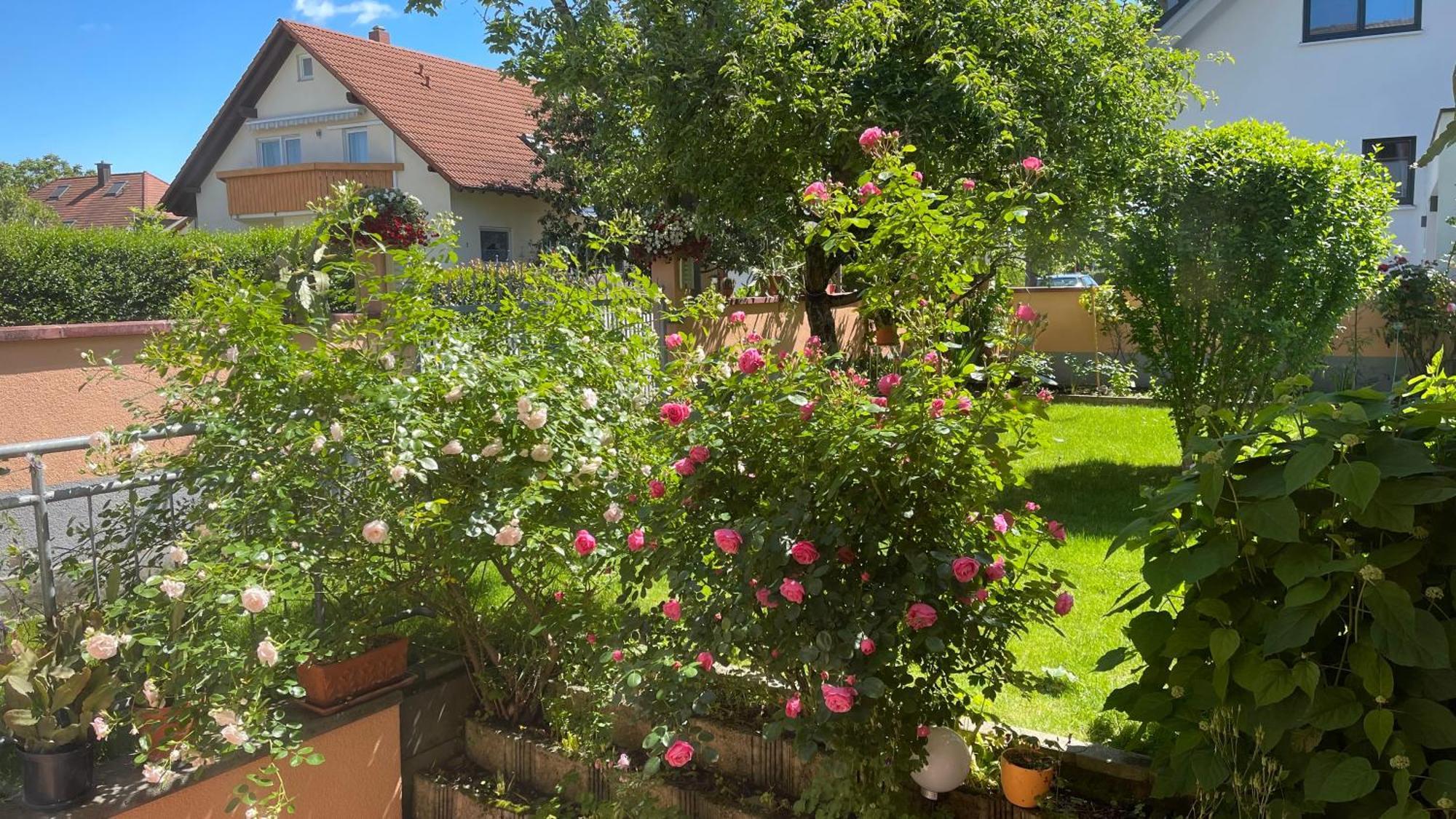 Ferienwohnung Am Eck روست المظهر الخارجي الصورة